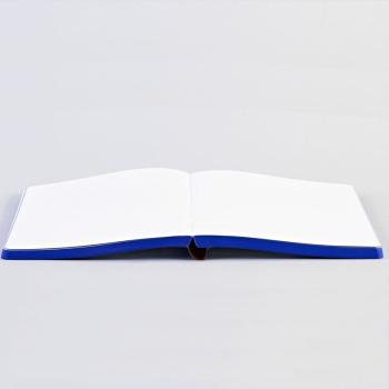 Nuuna, Notizbuch,Flex-Cover aus recyceltem Leder Seiten Punktraster, bedruckt blau-rot-weiss-gruen, Planet Love, geöffnet